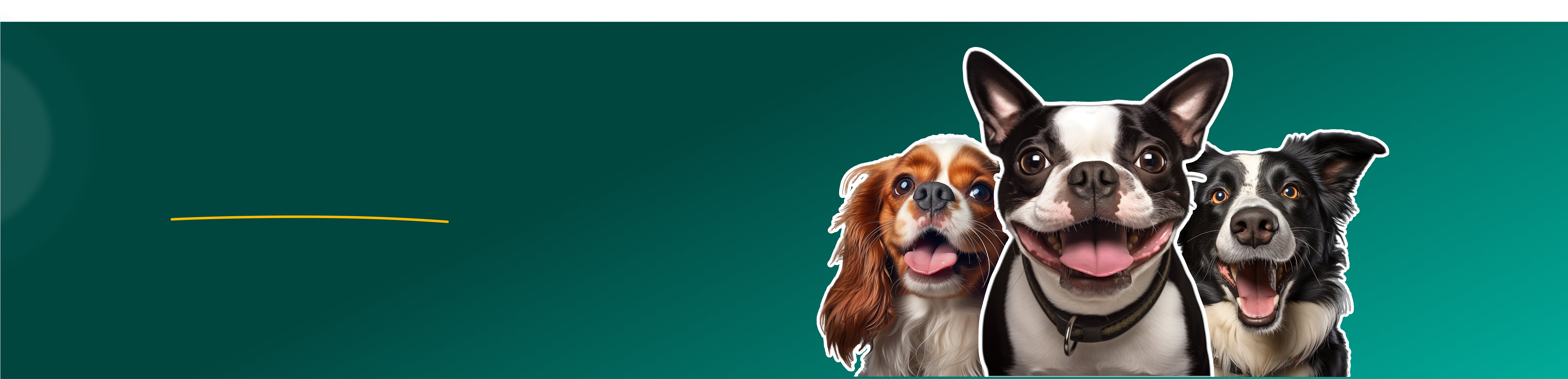 Heading Banner image for the 'About Us' page