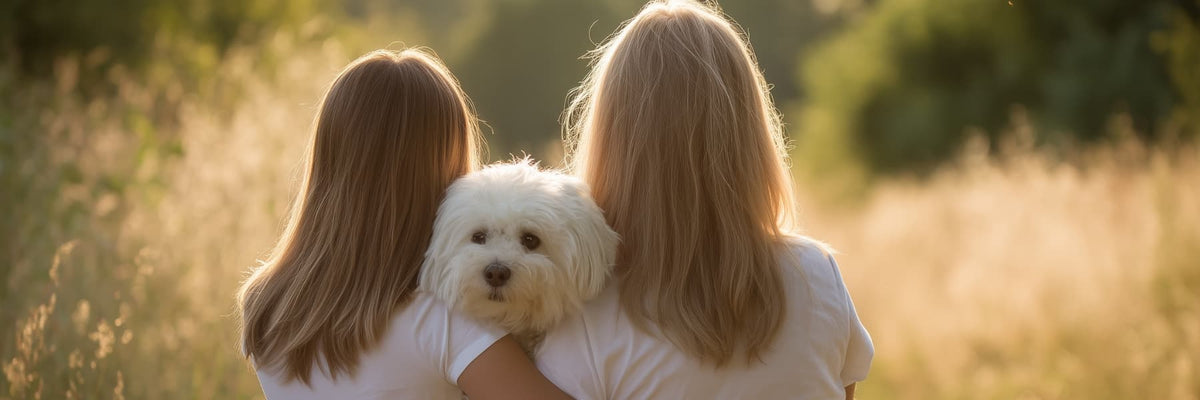 What Pet Lovers Really Look For — And Why