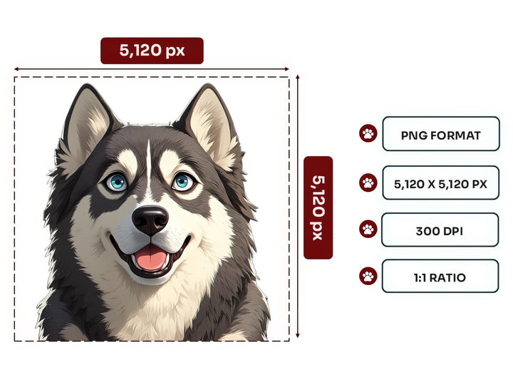 Alaskan Malamute Portrait PNG Files – 5120x5120 px, 300 DPI, Transparent Background, Square 1:1 Ratio