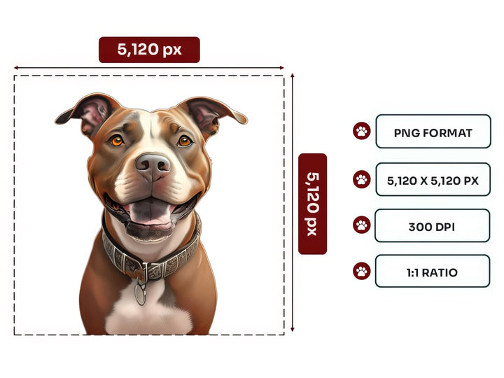 American Staffordshire Terrier Portrait PNG Files – 5120x5120 px, 300 DPI, Transparent Background, Square 1:1 Ratio