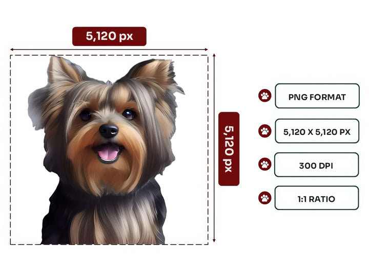 Australian Silky Terrier Portrait PNG Files – 5120x5120 px, 300 DPI, Transparent Background, Square 1:1 Ratio