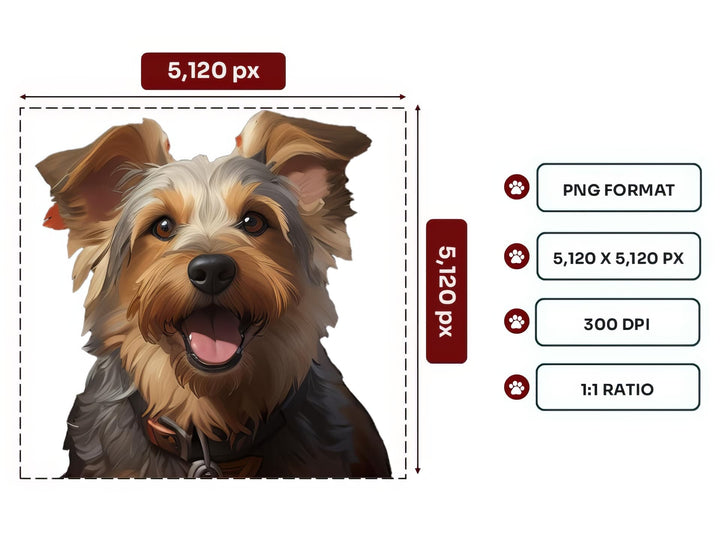 Australian Terrier Portrait PNG Files – 5120x5120 px, 300 DPI, Transparent Background, Square 1:1 Ratio