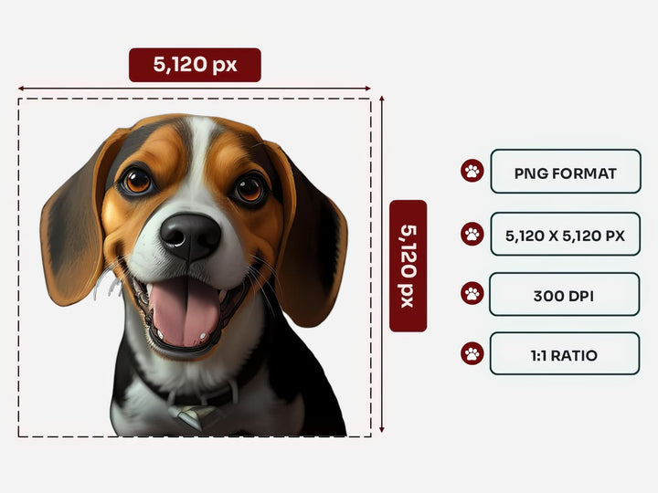 Beagle Portrait PNG Files – 5120x5120 px, 300 DPI, Transparent Background, Square 1:1 Ratio