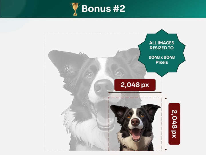 Get your bonus #2 – Border Collie Digital Art in 2048x2048 px, Perfect for Phone Cases, Photo Frames, and Small Designs
