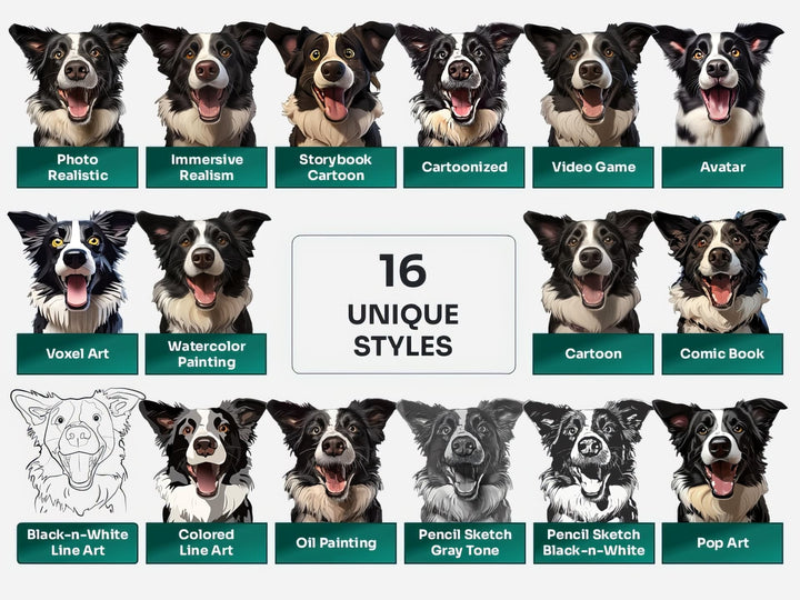 Border Collie PNG Clipart in 16 Art Styles including Realistic, Cartoon, Avatar, Watercolor, Line Art, Sketch, and More