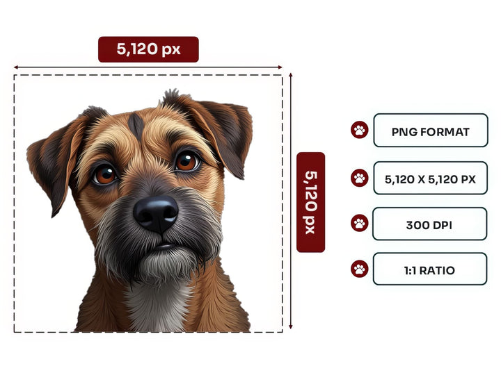 Border Terrier Portrait PNG Files – 5120x5120 px, 300 DPI, Transparent Background, Square 1:1 Ratio
