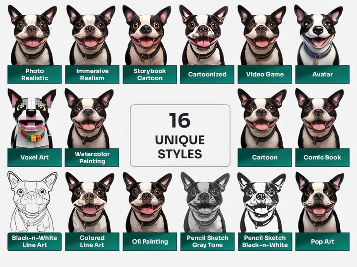 Boston Terrier PNG Clipart in 16 Art Styles including Realistic, Cartoon, Avatar, Watercolor, Line Art, Sketch, and More