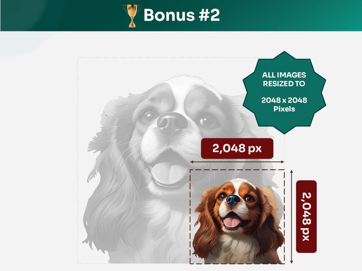 Get your bonus #2 – Cavalier King Charles Spaniel Digital Art in 2048x2048 px, Perfect for Phone Cases, Photo Frames, and Small Designs