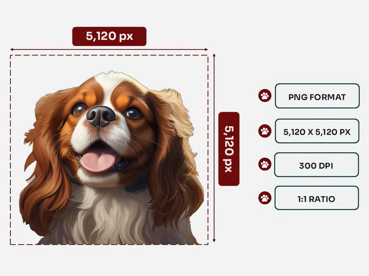 Cavalier King Charles Spaniel Portrait PNG Files – 5120x5120 px, 300 DPI, Transparent Background, Square 1:1 Ratio