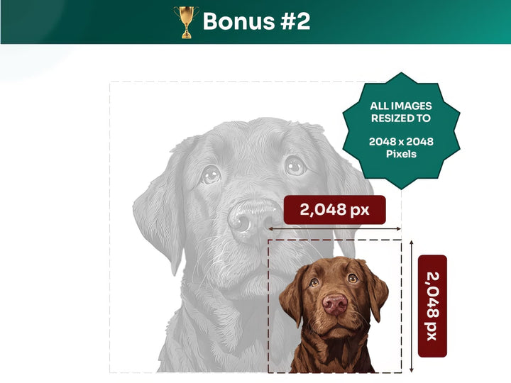 Get your bonus #2 – Chesapeake Bay Retriever Digital Art in 2048x2048 px, Perfect for Phone Cases, Photo Frames, and Small Designs