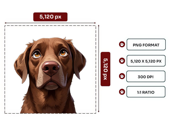 Chesapeake Bay Retriever Portrait PNG Files – 5120x5120 px, 300 DPI, Transparent Background, Square 1:1 Ratio
