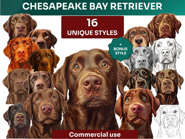 Chesapeake Bay Retriever Clipart Bundle, Dog Portraits Bundle in 16 Unique Art Styles, Chesapeake Bay Retriever PNG Files