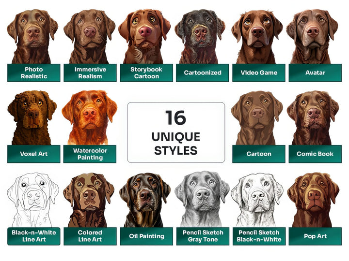 Chesapeake Bay Retriever PNG Clipart in 16 Art Styles including Realistic, Cartoon, Avatar, Watercolor, Line Art, Sketch, and More