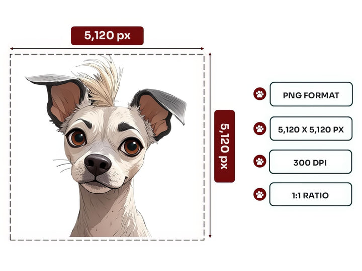 Chinese Crested Portrait PNG Files – 5120x5120 px, 300 DPI, Transparent Background, Square 1:1 Ratio