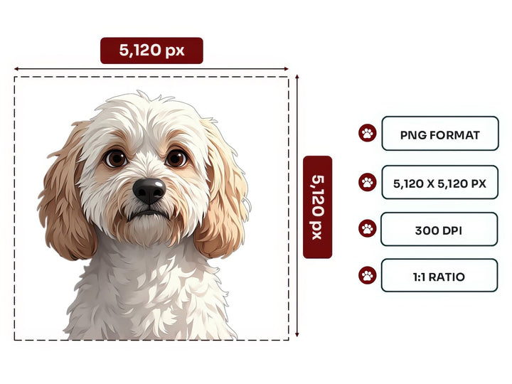 Cockapoo Portrait PNG Files – 5120x5120 px, 300 DPI, Transparent Background, Square 1:1 Ratio