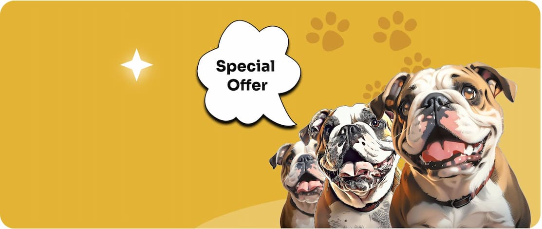 Three bulldogs with a 'Special Offer' speech bubble on a yellow background