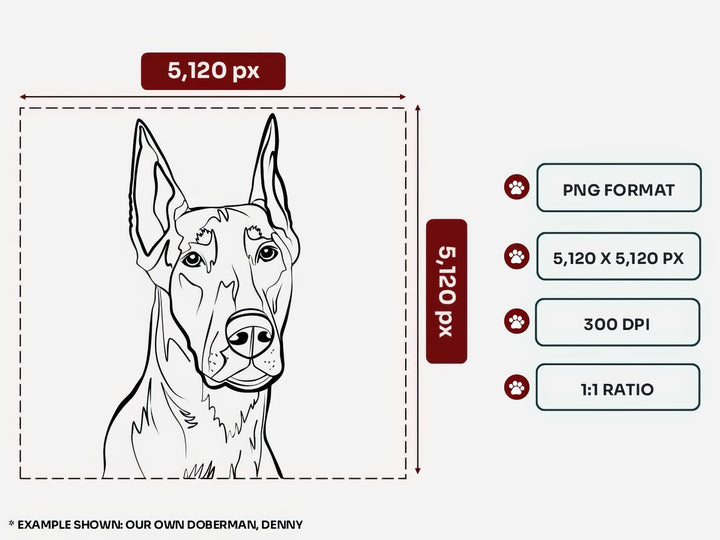 Custom_Line_Art_Black_White_Dog_Digital_Portrait – 5120x5120 px, 300 DPI, Transparent Background, Square 1:1 Ratio PNG Files