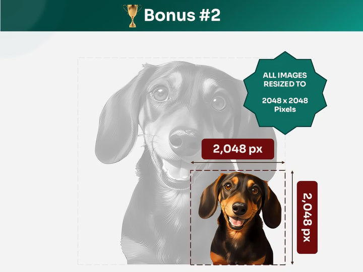 Get your bonus #2 – Dachshund Digital Art in 2048x2048 px, Perfect for Phone Cases, Photo Frames, and Small Designs