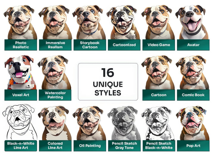 English Bulldog PNG Clipart in 16 Art Styles including Realistic, Cartoon, Avatar, Watercolor, Line Art, Sketch, and More
