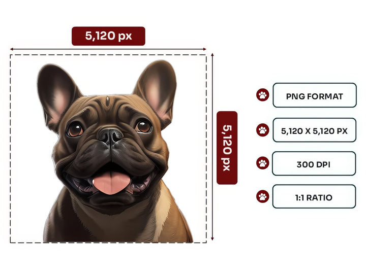French Bulldog Portrait PNG Files – 5120x5120 px, 300 DPI, Transparent Background, Square 1:1 Ratio