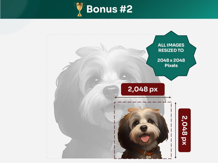 Get your bonus #2 – Havanese Digital Art in 2048x2048 px, Perfect for Phone Cases, Photo Frames, and Small Designs