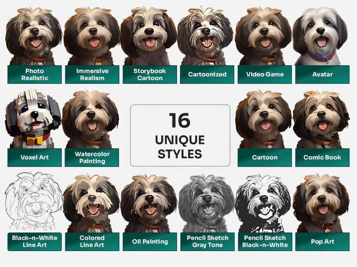 Havanese PNG Clipart in 16 Art Styles including Realistic, Cartoon, Avatar, Watercolor, Line Art, Sketch, and More
