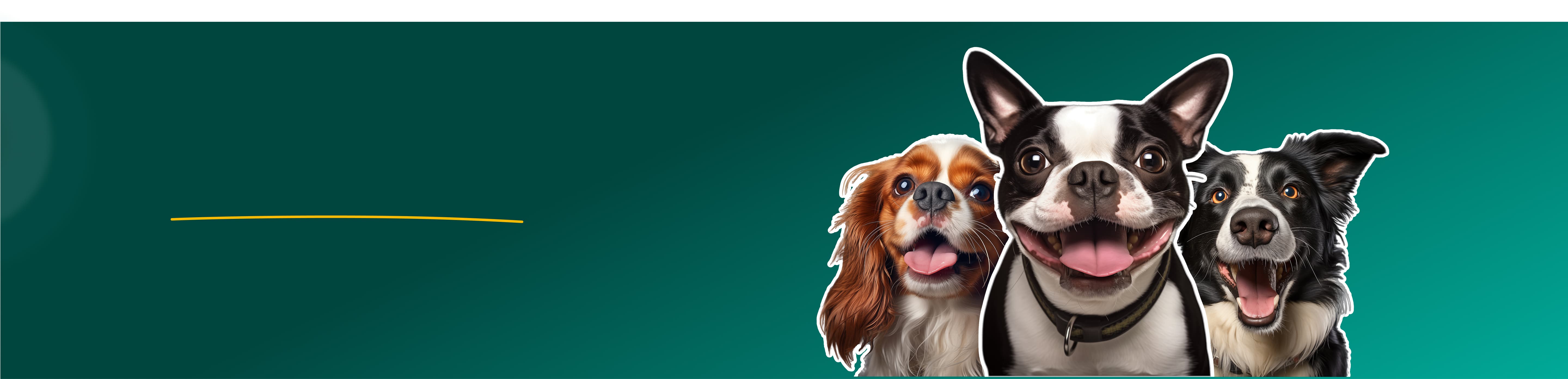Four dogs of different breeds standing together on a green background