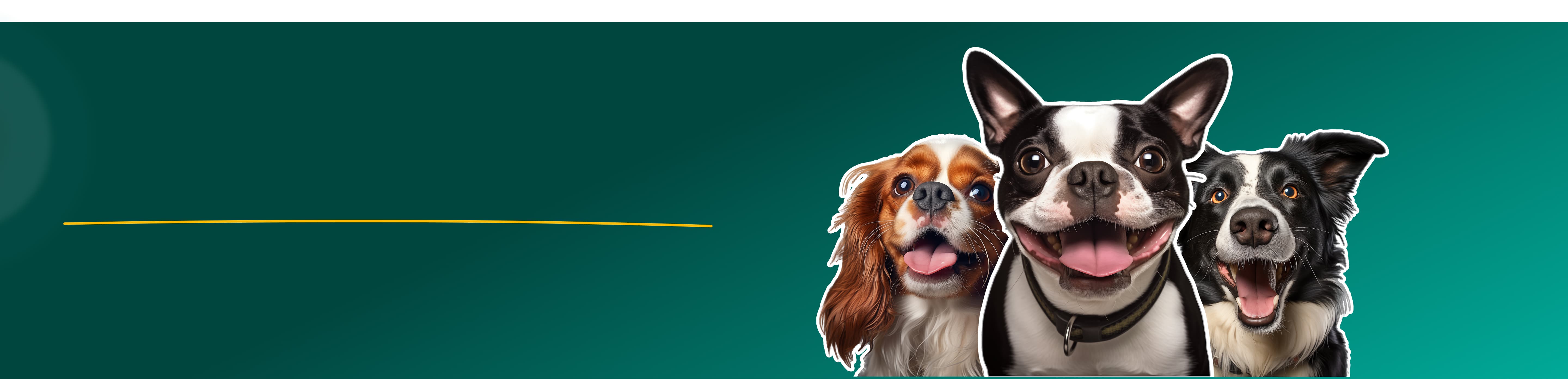 Hero banner for PNG Collections page. Three dogs with a green banner