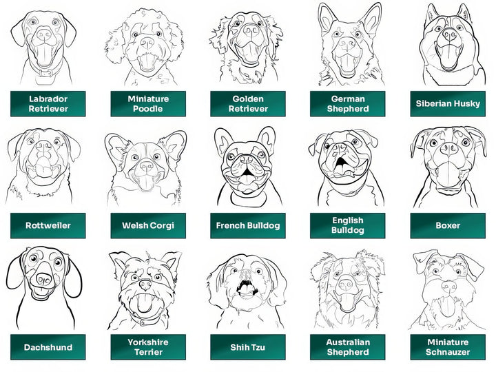 Line Art Black White portraits of 15 popular dog breeds – includes Labrador, Poodle, Shepherd, Corgi, Husky, French Bulldog, Rottweiler, and more