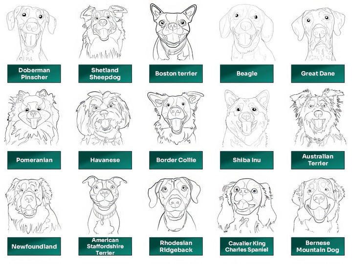 Line Art Black White portraits of 15 popular dog breeds includes Doberman, Collie, Terrier, Beagle, Shiba Inu, Newfoundland, Pomeranian, and more
