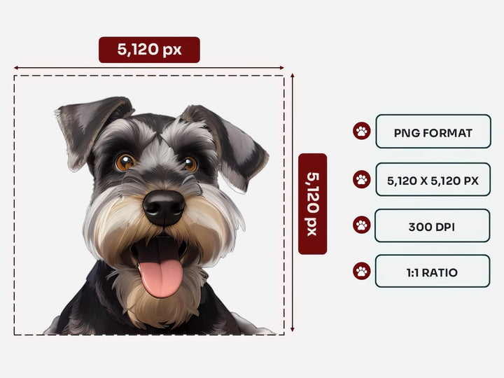 Miniature Schnauzer Portrait PNG Files – 5120x5120 px, 300 DPI, Transparent Background, Square 1:1 Ratio