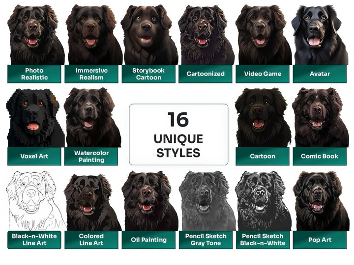 Newfoundland PNG Clipart in 16 Art Styles including Realistic, Cartoon, Avatar, Watercolor, Line Art, Sketch, and More