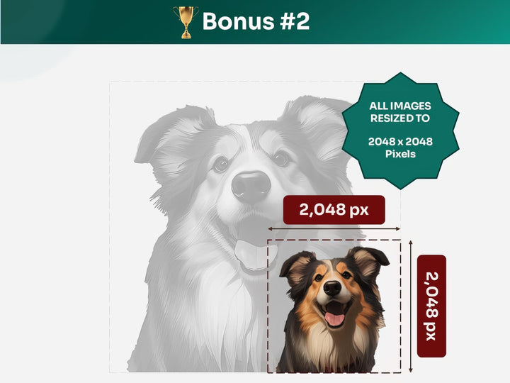 Get your bonus #2 – Shetland Sheepdog Digital Art in 2048x2048 px, Perfect for Phone Cases, Photo Frames, and Small Designs