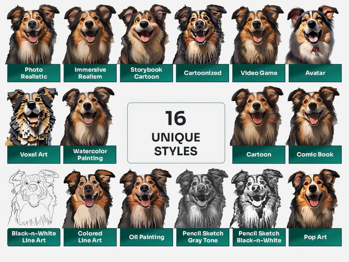 Shetland Sheepdog PNG Clipart in 16 Art Styles including Realistic, Cartoon, Avatar, Watercolor, Line Art, Sketch, and More
