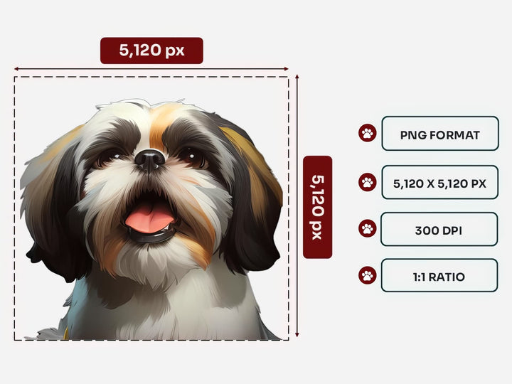 Shih Tzu Portrait PNG Files – 5120x5120 px, 300 DPI, Transparent Background, Square 1:1 Ratio