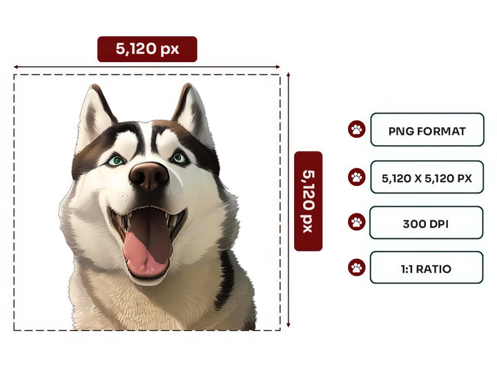 Siberian Husky Portrait PNG Files – 5120x5120 px, 300 DPI, Transparent Background, Square 1:1 Ratio