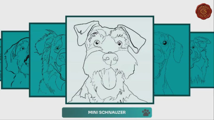 Slideshow Video Showcasing Dog Portraits of 30 Most Popular Breeds in Line Art Black White style - Retriever, Labrador, Poodle, Shepherd, Husky & More