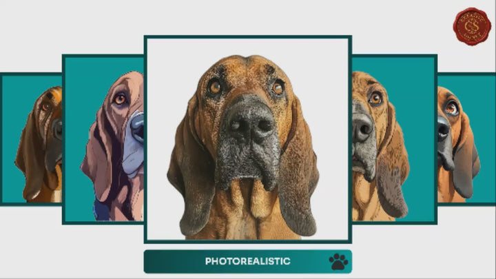 Slideshow Video Showcasing 17 Unique Bloodhound Portrait Styles – Watercolor, Cartoon, Oil Painting, Line Art & More