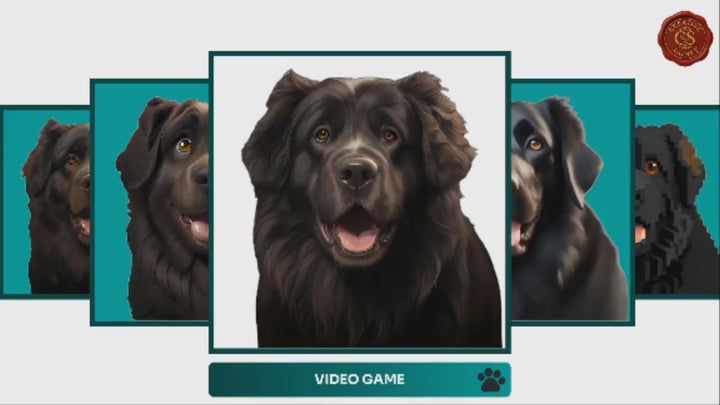 Slideshow Video Showcasing 17 Unique Newfoundland Portrait Styles – Watercolor, Cartoon, Oil Painting, Line Art & More