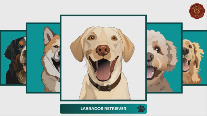 Slideshow Video Showcasing Dog Portraits of 30 Most Popular Breeds in Line Art Colored style - Retriever, Labrador, Poodle, Shepherd, Husky & More